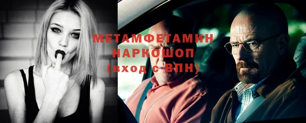 шишки Новозыбков