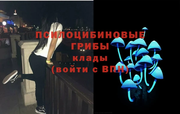 тгк Нефтекумск