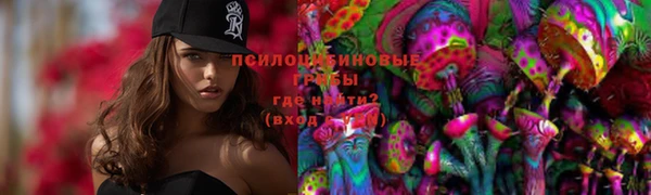 шишки Новозыбков