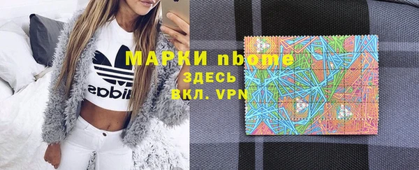 шишки Новозыбков