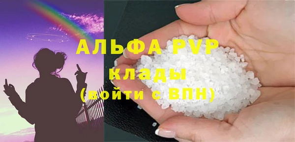 шишки Новозыбков