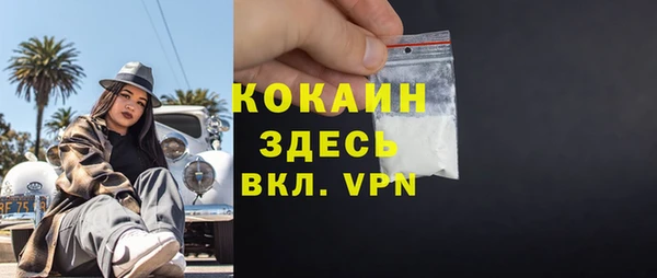 стаф Новодвинск