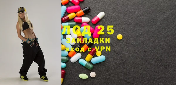 стаф Новодвинск