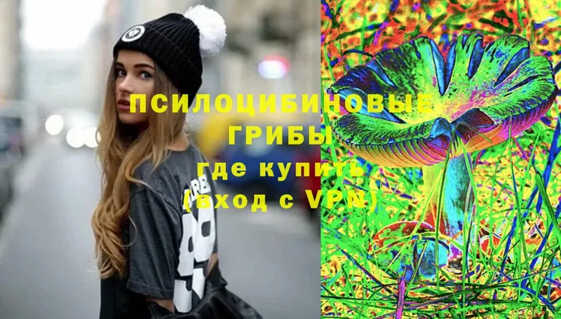 где купить наркотик  Змеиногорск  Псилоцибиновые грибы Cubensis 