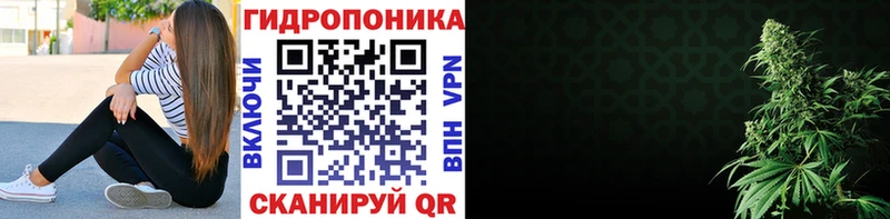 Шишки марихуана план Змеиногорск